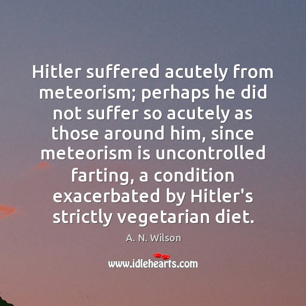 Hitler suffered acutely from meteorism; perhaps he did not suffer so acutely A. N. Wilson Picture Quote