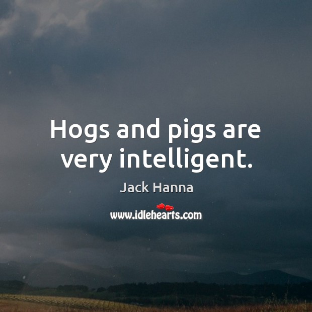 Hogs and pigs are very intelligent. Jack Hanna Picture Quote