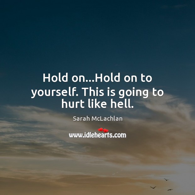Hold on…Hold on to yourself. This is going to hurt like hell. Sarah McLachlan Picture Quote
