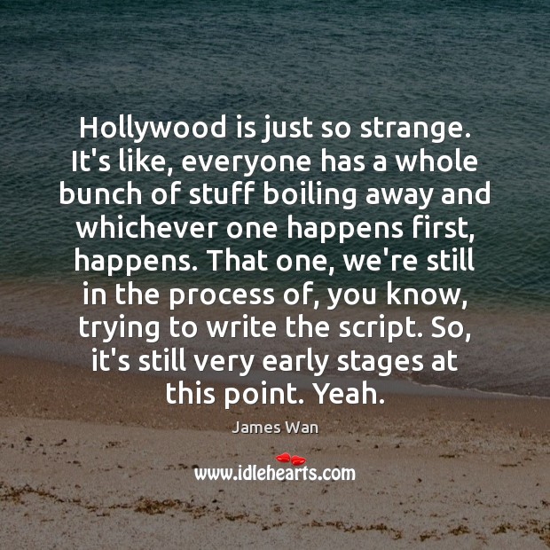 Hollywood is just so strange. It’s like, everyone has a whole bunch James Wan Picture Quote