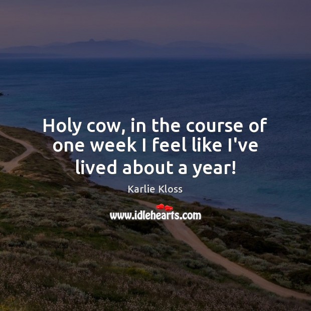 Holy cow, in the course of one week I feel like I’ve lived about a year! Image