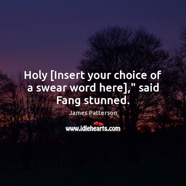 Holy [Insert your choice of a swear word here],” said Fang stunned. James Patterson Picture Quote