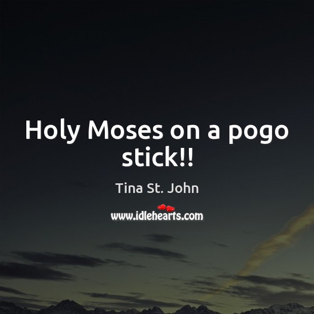 Holy Moses on a pogo stick!! Tina St. John Picture Quote
