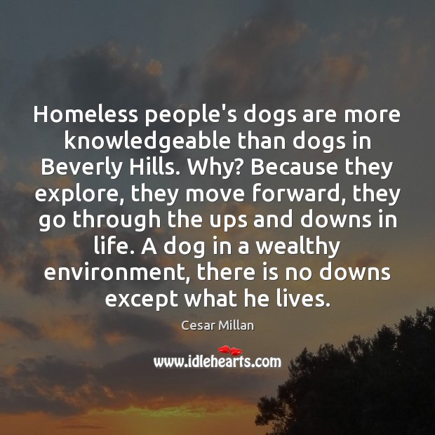 Homeless people’s dogs are more knowledgeable than dogs in Beverly Hills. Why? Image