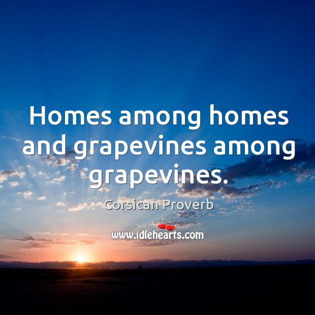 Homes among homes and grapevines among grapevines. Corsican Proverbs Image
