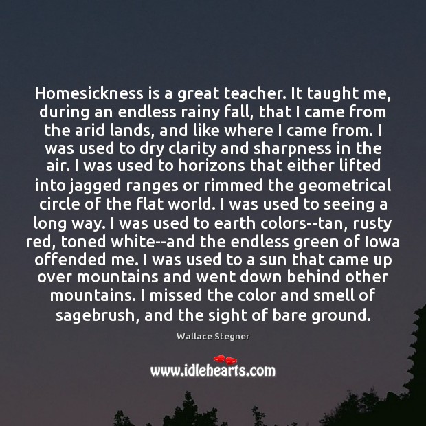 Homesickness is a great teacher. It taught me, during an endless rainy 
