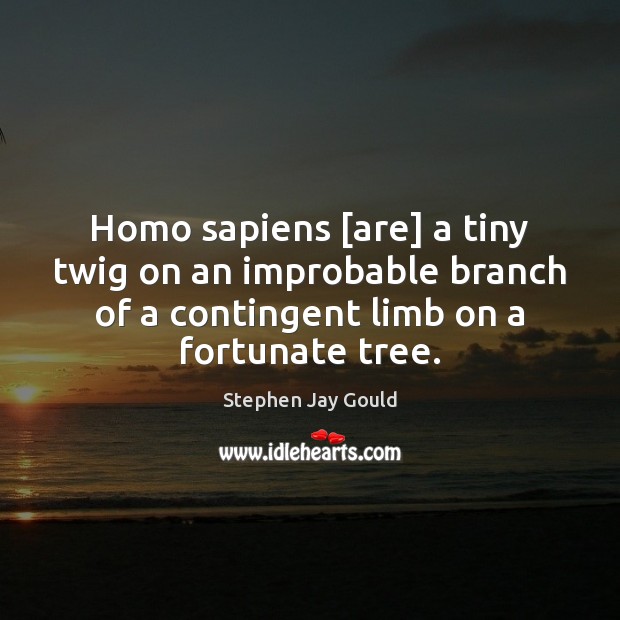 Homo sapiens [are] a tiny twig on an improbable branch of a Stephen Jay Gould Picture Quote