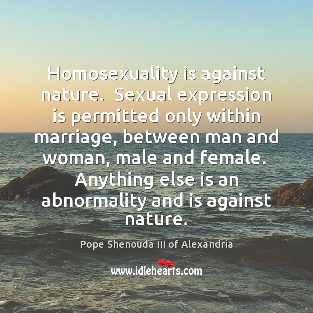 Homosexuality is against nature.  Sexual expression is permitted only within marriage, between Image