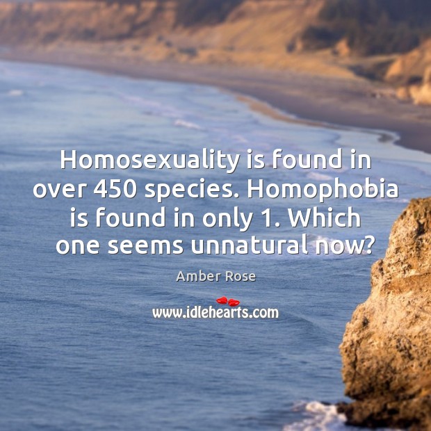 Homosexuality is found in over 450 species. Homophobia is found in only 1. Which Image