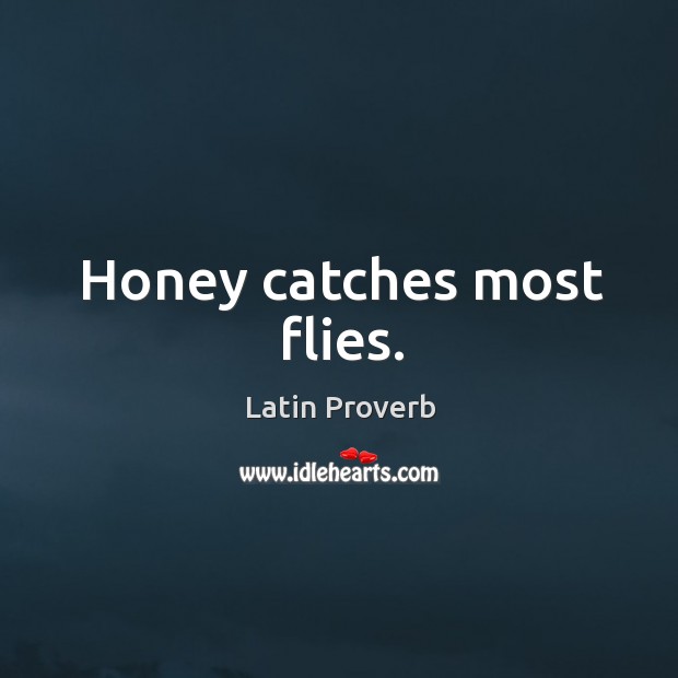 Honey catches most flies. Latin Proverbs Image