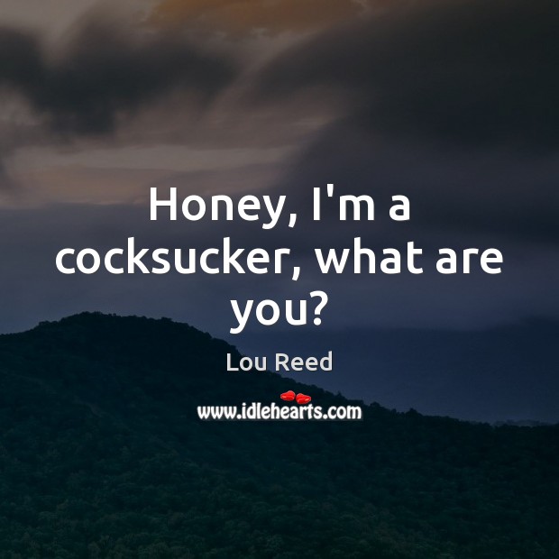 Honey, I’m a cocksucker, what are you? Lou Reed Picture Quote