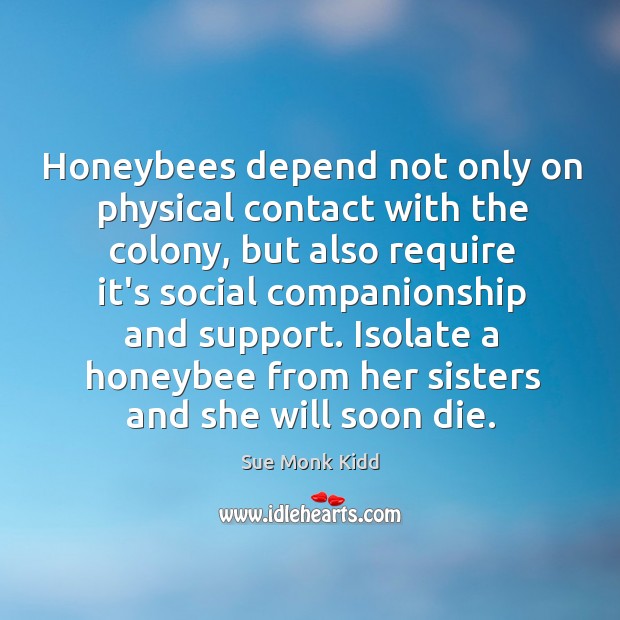 Honeybees depend not only on physical contact with the colony, but also Sue Monk Kidd Picture Quote