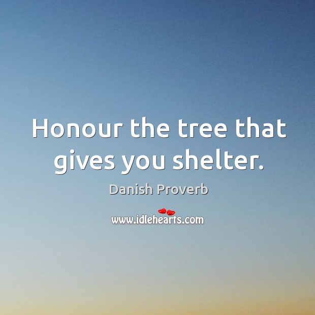Honour the tree that gives you shelter. Danish Proverbs Image