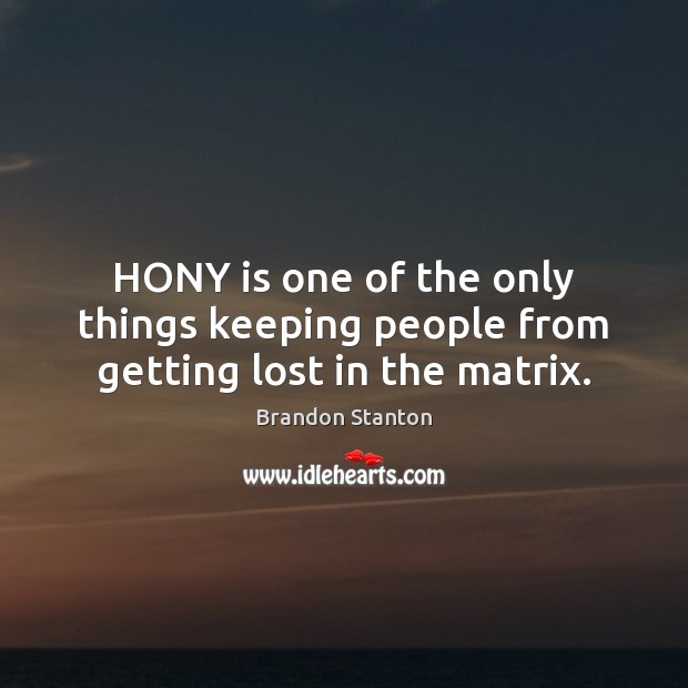 HONY is one of the only things keeping people from getting lost in the matrix. Brandon Stanton Picture Quote
