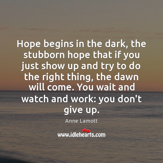 Hope begins in the dark, the stubborn hope that if you just Anne Lamott Picture Quote