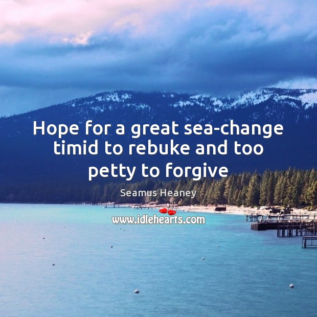 Hope for a great sea-change timid to rebuke and too petty to forgive Seamus Heaney Picture Quote