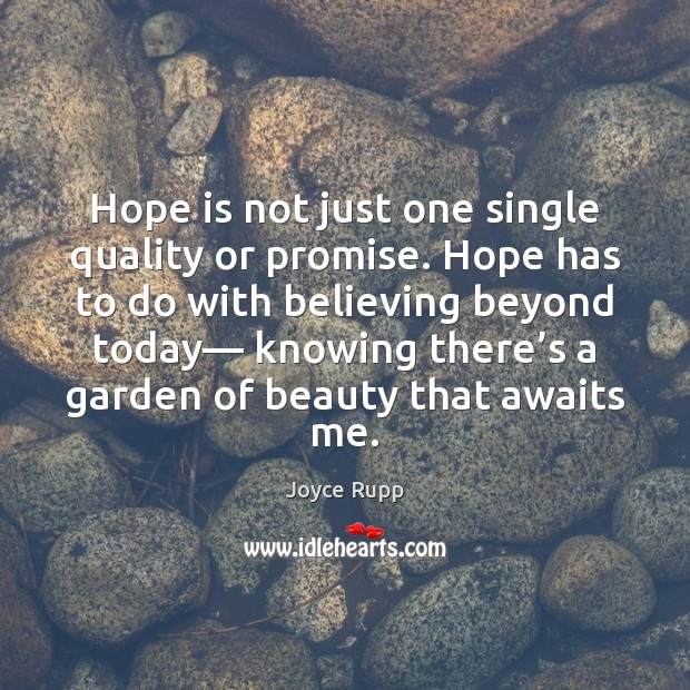 Hope is not just one single quality or promise. Hope has to 