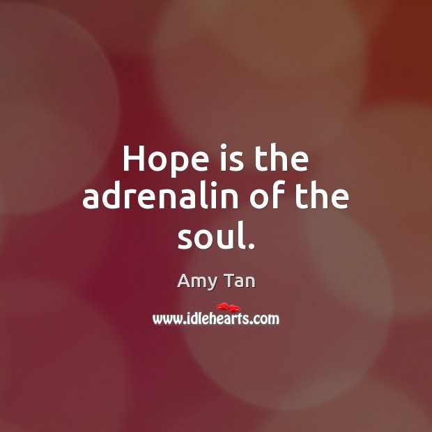 Hope is the adrenalin of the soul. Amy Tan Picture Quote