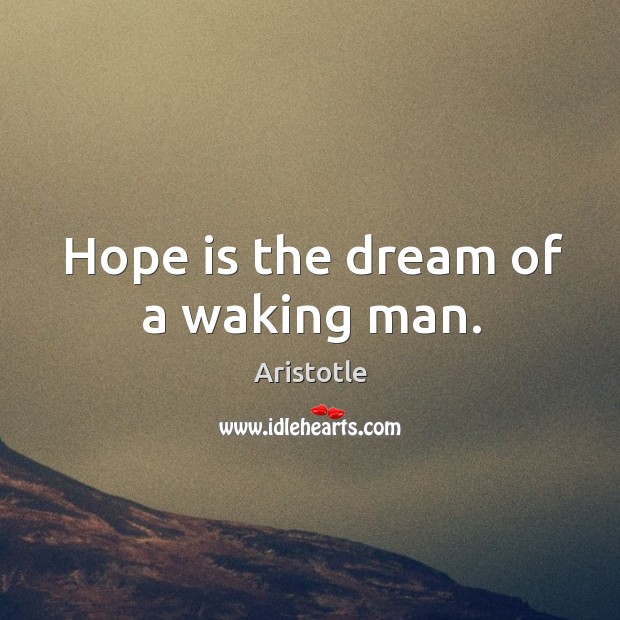 Hope is the dream of a waking man. Image