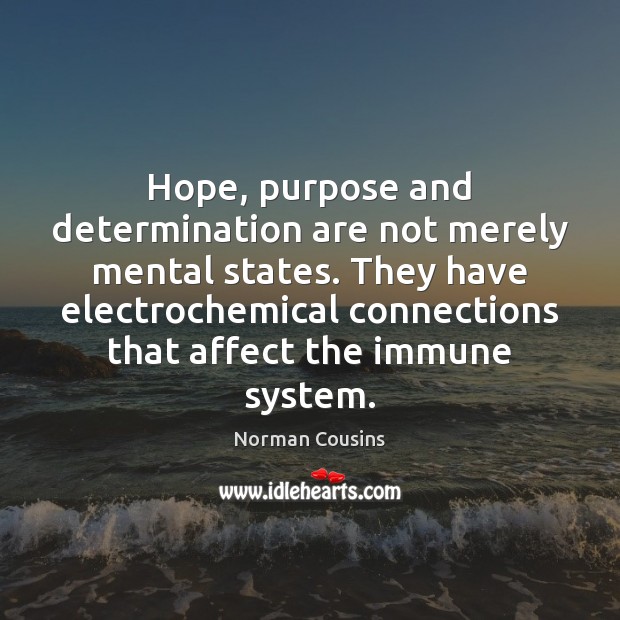 Hope, purpose and determination are not merely mental states. They have electrochemical Norman Cousins Picture Quote