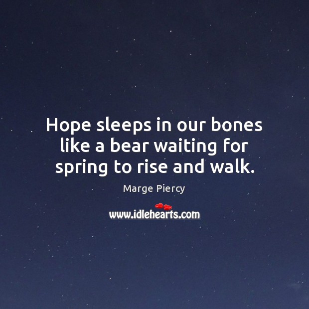 Hope sleeps in our bones like a bear waiting for spring to rise and walk. Image