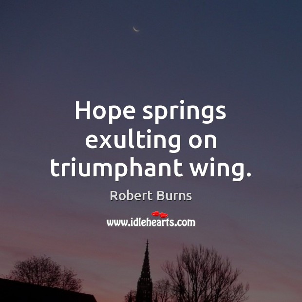 Hope springs exulting on triumphant wing. Robert Burns Picture Quote
