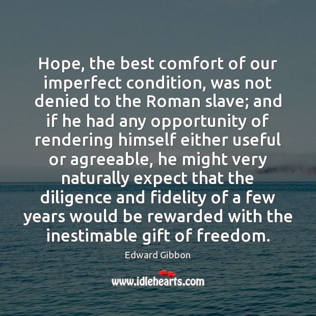 Hope, the best comfort of our imperfect condition, was not denied to Image