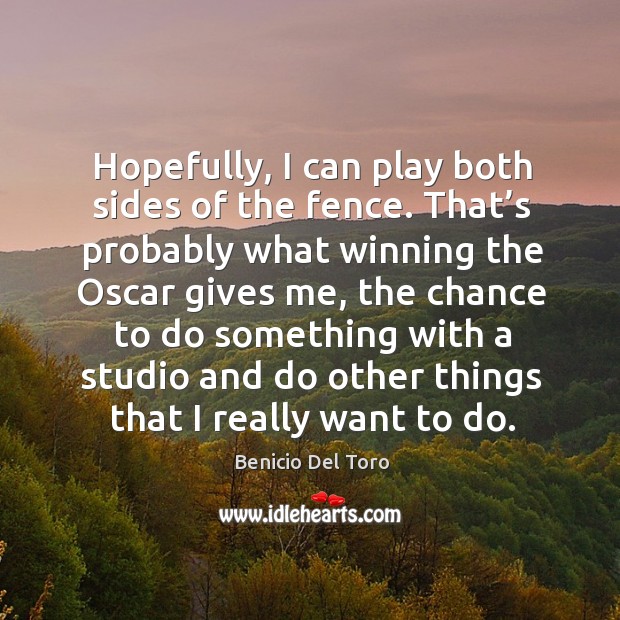 Hopefully, I can play both sides of the fence. Benicio Del Toro Picture Quote