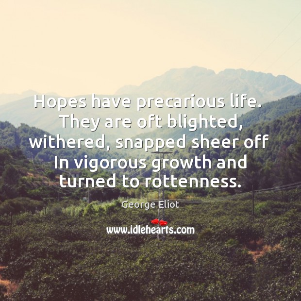 Hopes have precarious life.  They are oft blighted, withered, snapped sheer off George Eliot Picture Quote