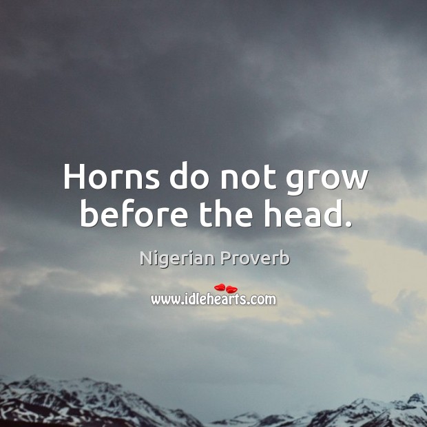 Horns do not grow before the head. Nigerian Proverbs Image
