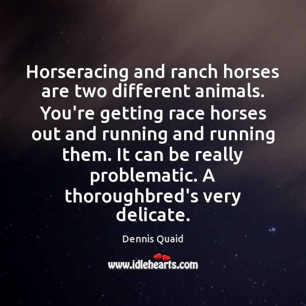 Horseracing and ranch horses are two different animals. You’re getting race horses Dennis Quaid Picture Quote