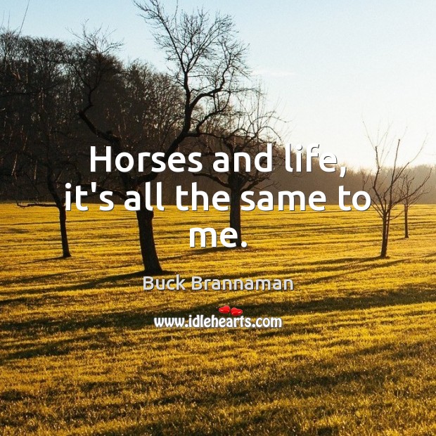 Horses and life, it’s all the same to me. Buck Brannaman Picture Quote