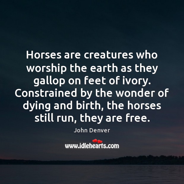 Horses are creatures who worship the earth as they gallop on feet John Denver Picture Quote