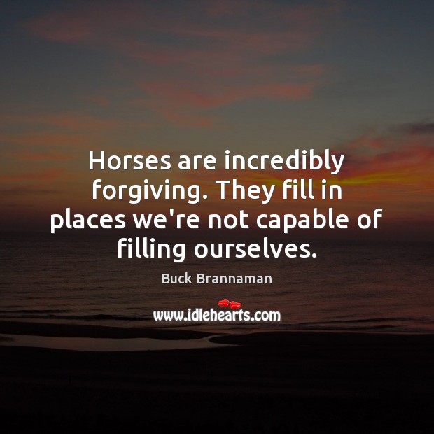 Horses are incredibly forgiving. They fill in places we’re not capable of Buck Brannaman Picture Quote