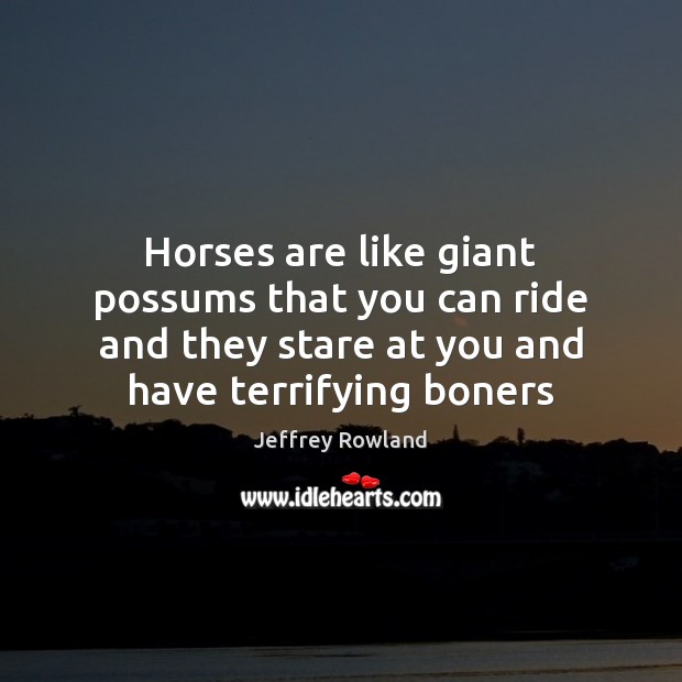 Horses are like giant possums that you can ride and they stare Jeffrey Rowland Picture Quote