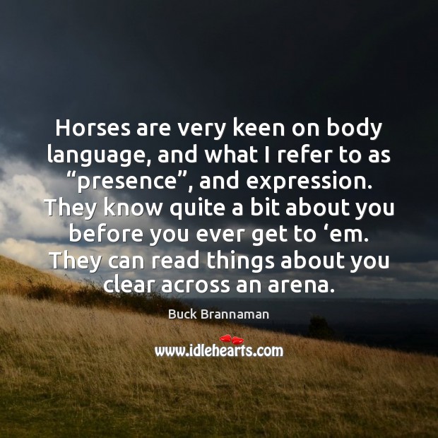 Horses are very keen on body language, and what I refer to Image