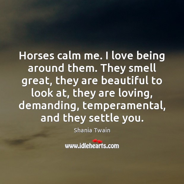 Horses calm me. I love being around them. They smell great, they Shania Twain Picture Quote