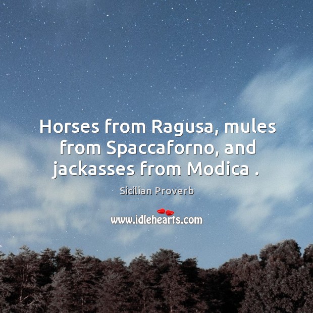 Horses from ragusa, mules from spaccaforno, and jackasses from modica . Sicilian Proverbs Image