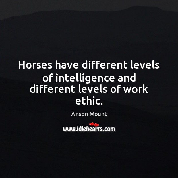 Horses have different levels of intelligence and different levels of work ethic. Anson Mount Picture Quote