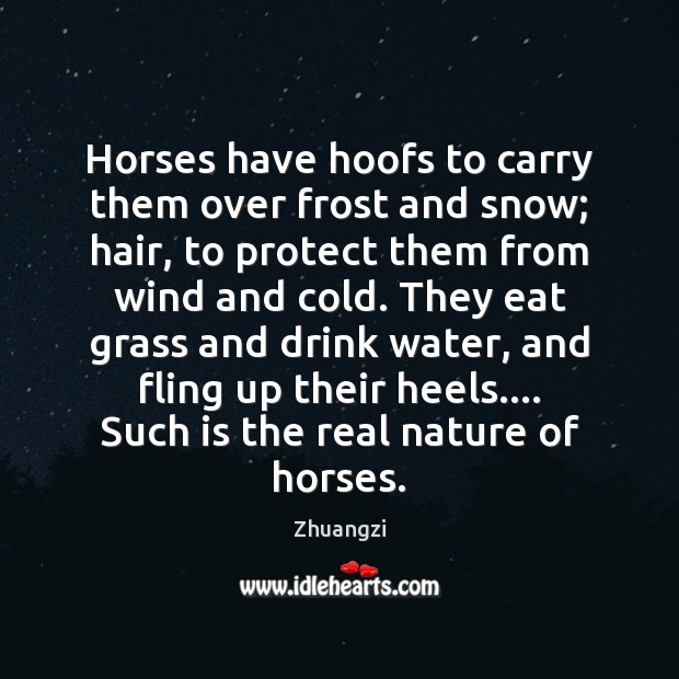 Horses have hoofs to carry them over frost and snow; hair, to Image