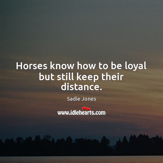 Horses know how to be loyal but still keep their distance. Sadie Jones Picture Quote