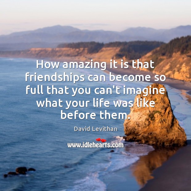 How amazing it is that friendships can become so full that you David Levithan Picture Quote