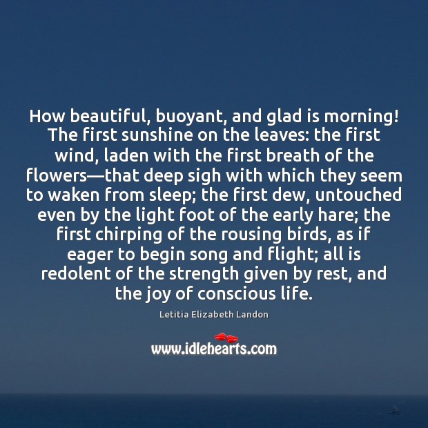 How beautiful, buoyant, and glad is morning! The first sunshine on the 