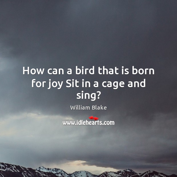 How can a bird that is born for joy Sit in a cage and sing? William Blake Picture Quote