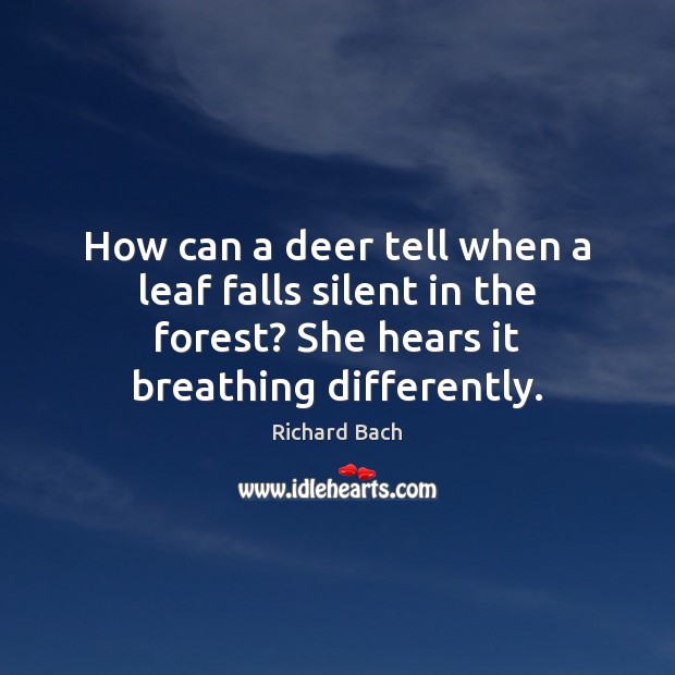 How can a deer tell when a leaf falls silent in the Richard Bach Picture Quote