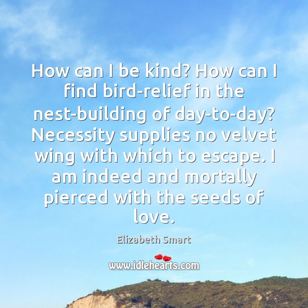 How can I be kind? How can I find bird-relief in the Elizabeth Smart Picture Quote