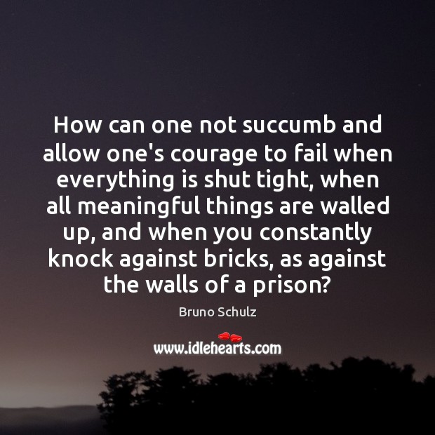 How can one not succumb and allow one’s courage to fail when Bruno Schulz Picture Quote