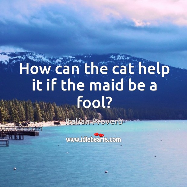 How can the cat help it if the maid be a fool? Image