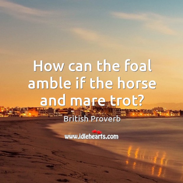 How can the foal amble if the horse and mare trot? Image