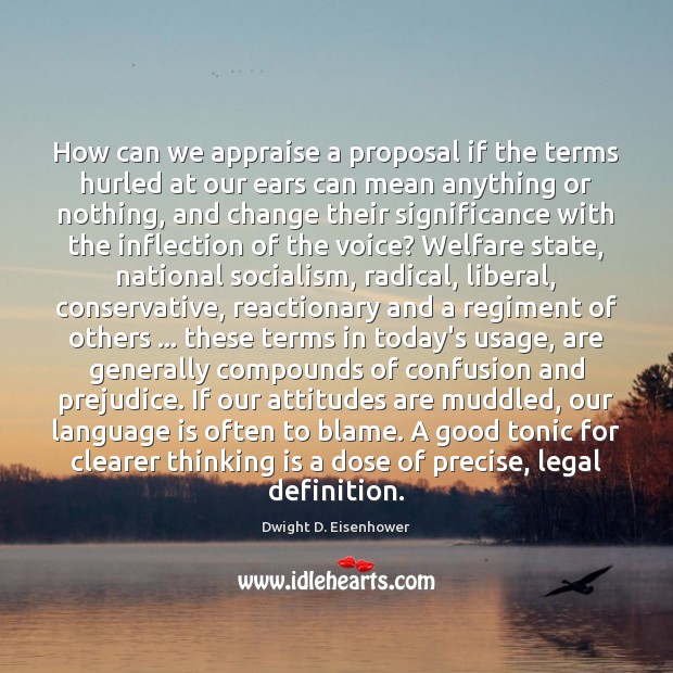 How can we appraise a proposal if the terms hurled at our Image